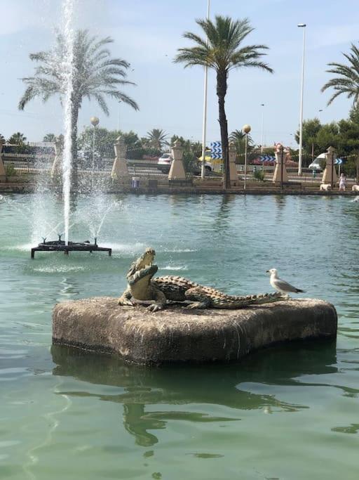 Near The Park * Torrevieja
